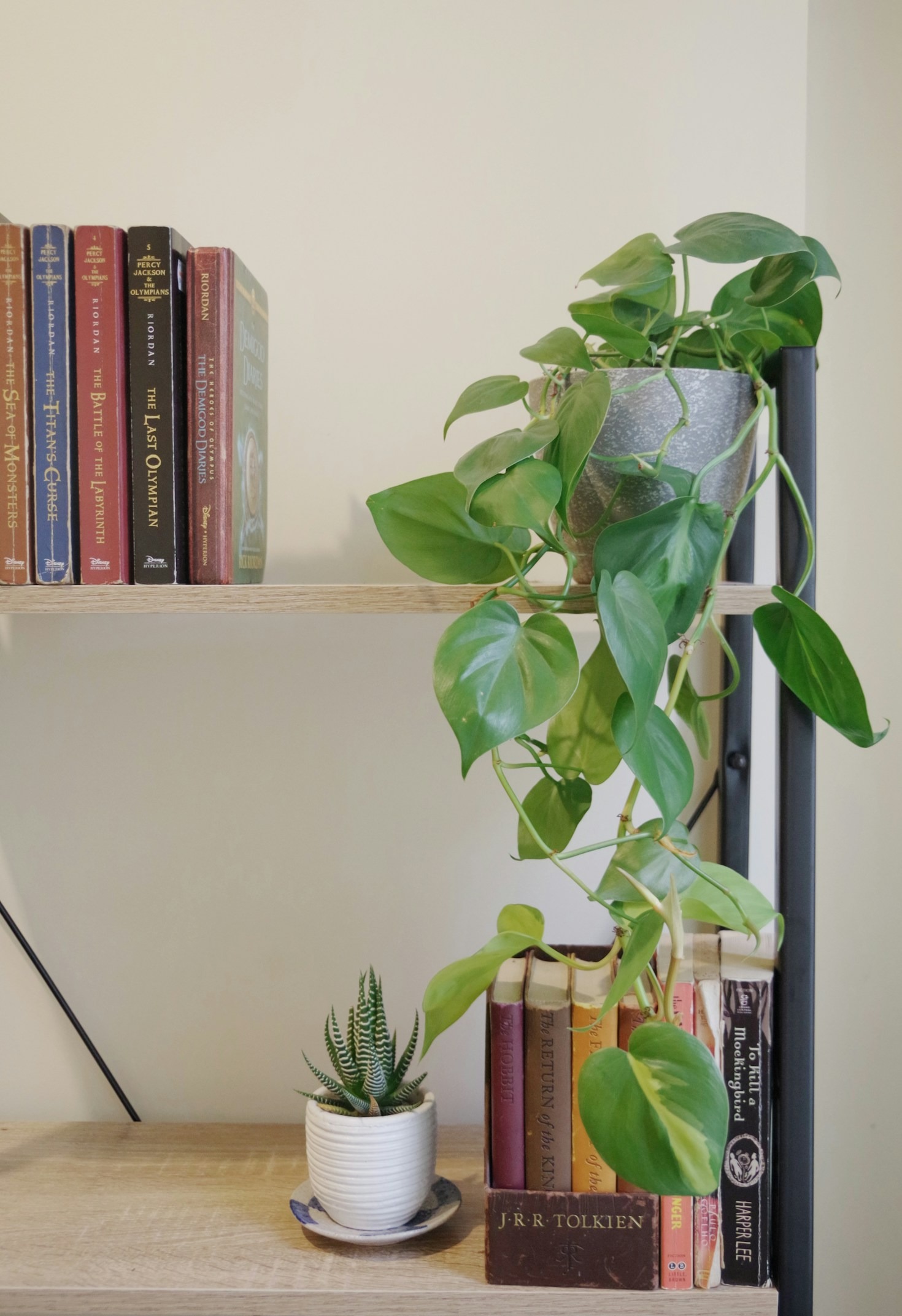 How to Design a Space with Philodendrons
